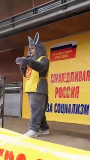 В Красноярске агитатор от «Справедливой России» выступил перед избирателями в образе Черемши из ТикТоков
