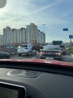 Иллюстрация 2
