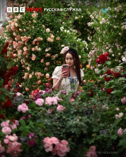 В Лондоне открылось цветочное шоу Chelsea Flower Show