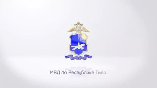 Полиция Кызыла нашла похитителей лошади с помощью БПЛА