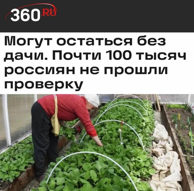 Иллюстрация 1
