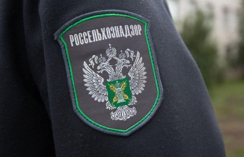 Россия вводит ограничения на ввоз цветов из Армении