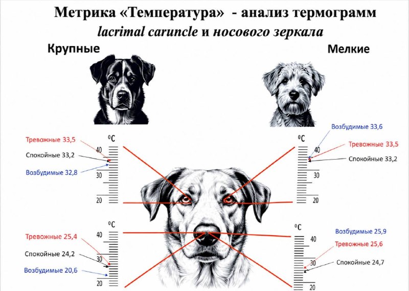 Иллюстрация 2