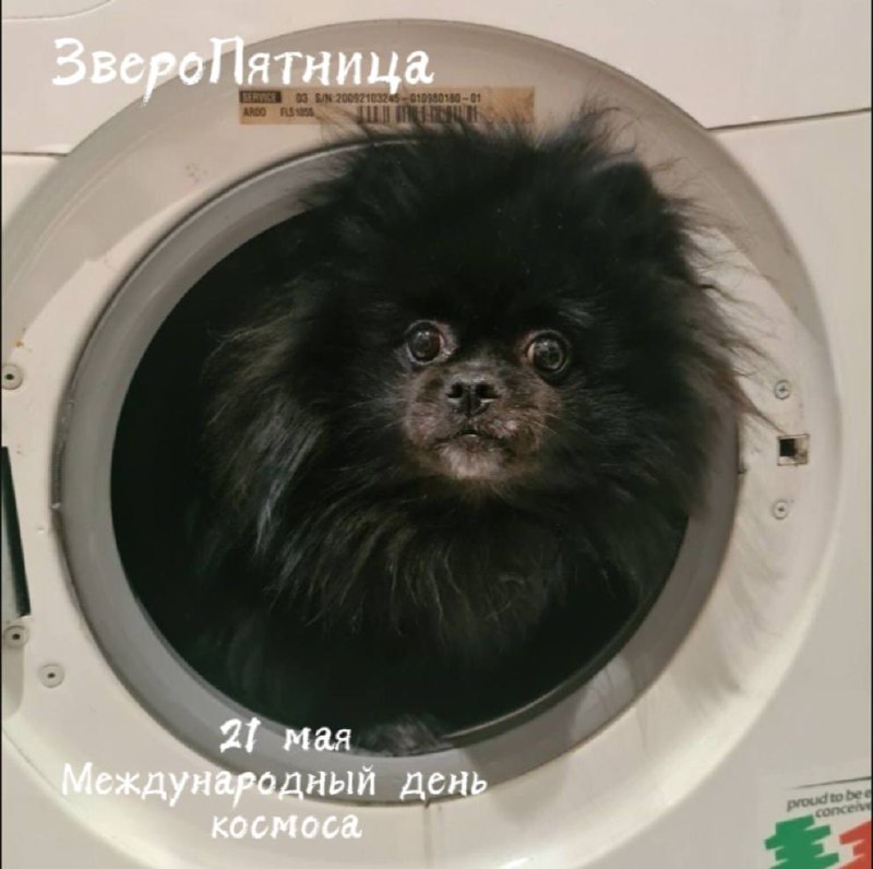 Каждый из нас в душе немного космос — немного хаоса, туманности и звездной дури пыли