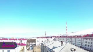 В Магадане запустили операцию против чаек с применением квадрокоптеров