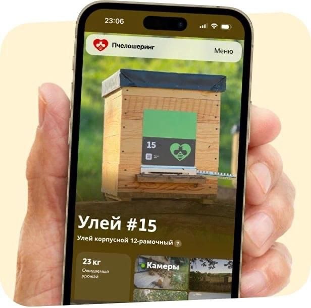 Экономическая эффективность производства мёда и тренд на «пчёлошеринг»