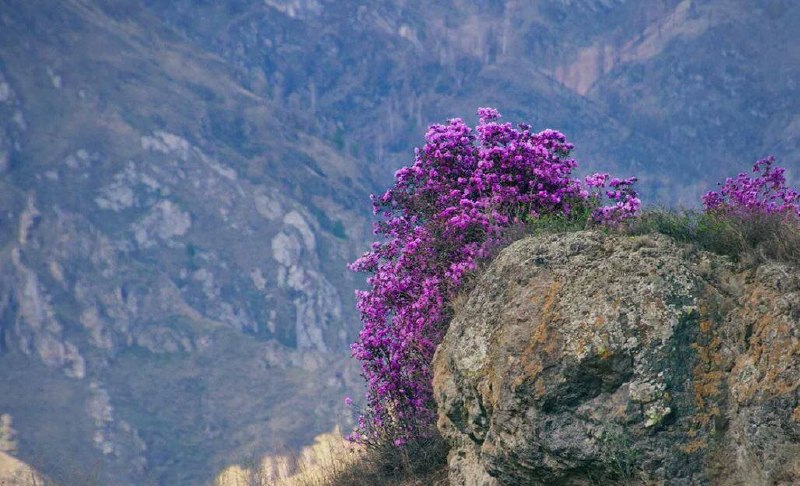 Иллюстрация 6