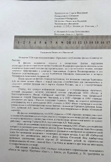 Правозащитница из Братска подала жалобу на сенатора Андрея Чернышева из-за его бизнеса в городе