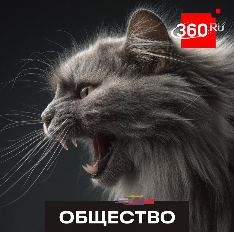 Почему брить питомца летом — худшее, что можно сделать?