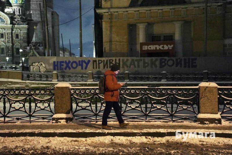 Петербургский антивоенный стрит-арт художник освобожден в зале суда