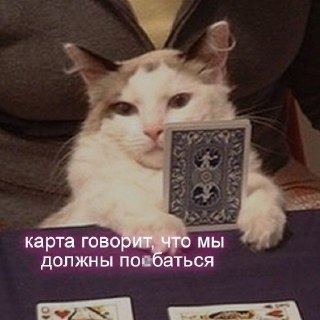 Нумерологи рассказали о сексуальной одержимости мужчин, рожденных в определенные числа