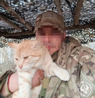 Иллюстрация 7