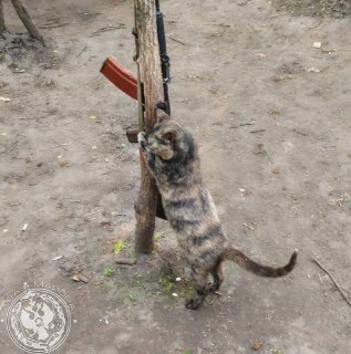 Иллюстрация 8