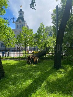 Иллюстрация 3