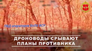 Сводка событий в зоне СВО: удары по БПЛА и отражение атак в Харьковской, Запорожской и Днепропетровской областях