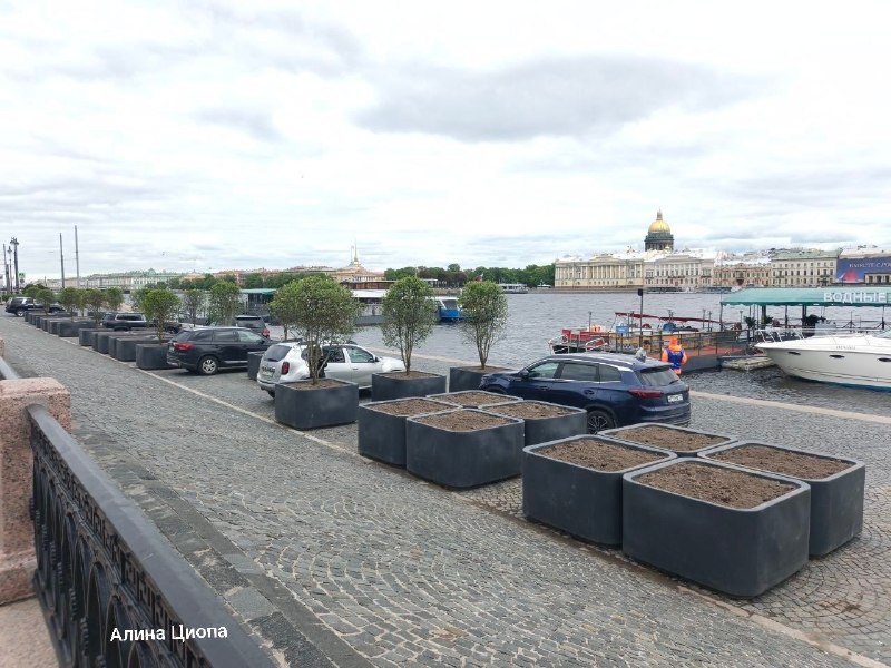 В Санкт-Петербурге начали разбивать сады-трансформеры на Университетской набережной