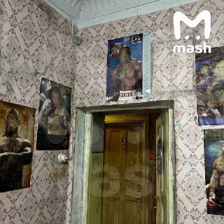 Иллюстрация 4