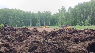 Задержанные за протест против стройки Минобороны в Кунцеве провели ночь в полиции