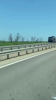 Иллюстрация 9