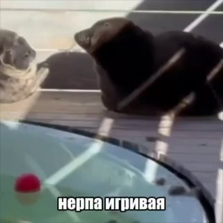 Иллюстрация 3