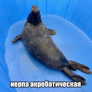 Иллюстрация 5