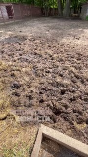 Иллюстрация 3