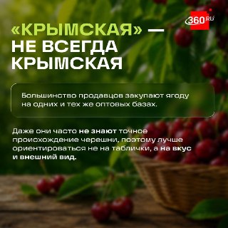 Иллюстрация 3