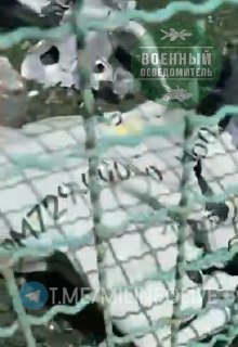Иллюстрация 2