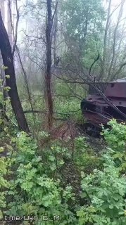 В ходе СВО уничтожена украинская САУ 2С1 «Гвоздика»