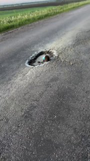Добрые люди не оставили бедного ёжика в беде