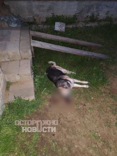 Иллюстрация 2