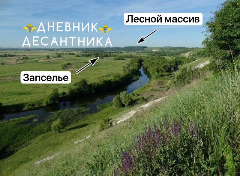 Иллюстрация 1