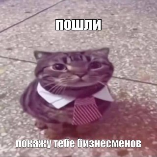 На ПМЭФ-2026 появится услуга индивидуального сопровождения за 150 тысяч рублей в день