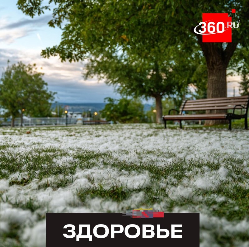 В Москве и области началось цветение тополя: советы аллергикам
