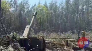 Эпические кадры освобождения села Нововасилевка в Харьковской области