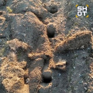Иллюстрация 4