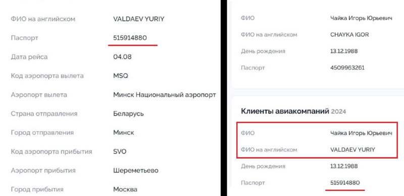 Главу Россотрудничества Игоря Чайку обвиняют в использовании подставных имен при покупке авиабилетов