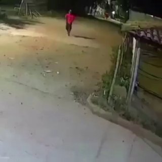 В Парагвае мужчина применил собаку как оружие при нападении стаи бродячих псов
