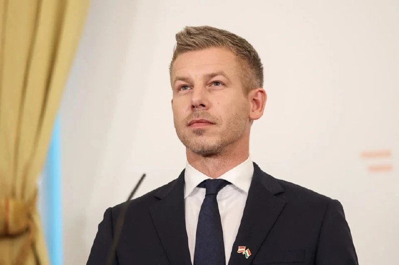 Венгрия не будет поставлять оружие Украине