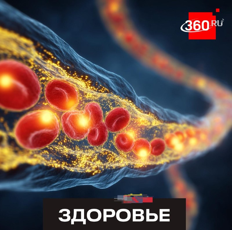 Ученые обнаружили третий, самый опасный тип холестерина