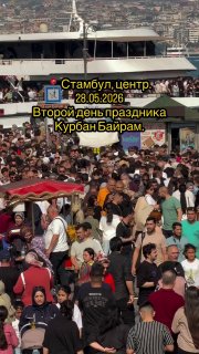 Иллюстрация 3