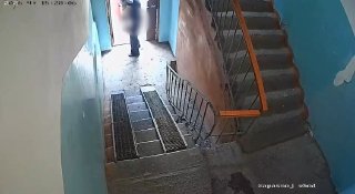 В Тюмени задержан мужчина, пытавшийся изнасиловать девочку в подъезде