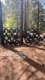 В Петербурге на выпускном второклассников обучали элементам штыковой атаки