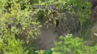 Российские войска демонстрируют превосходство на Славянском направлении