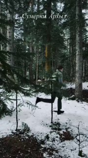 Иллюстрация 1