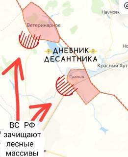 Иллюстрация 1