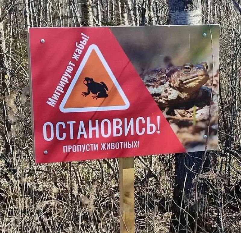 Иллюстрация 3