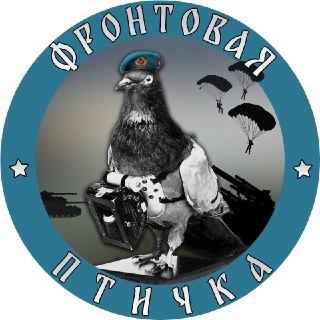 Офицер ВДВ рассказывает о положении дел на фронте
