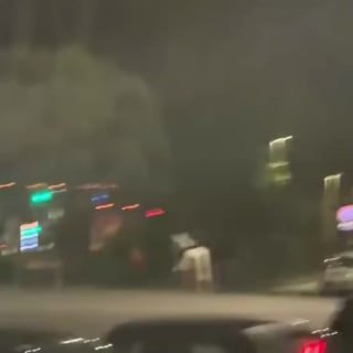 В Риме во время подготовки к параду разбежались лошади