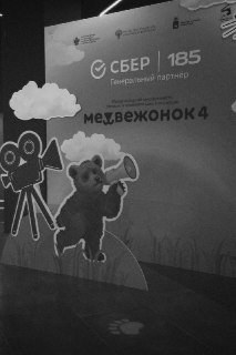 Открытие кинофестиваля «Медвежонок 4»